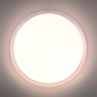 7776/DLN PALE SN 110 Светильник пластик/белый LED 48Вт 3000/4000/6000К D400 IP43 CCT JOLLY