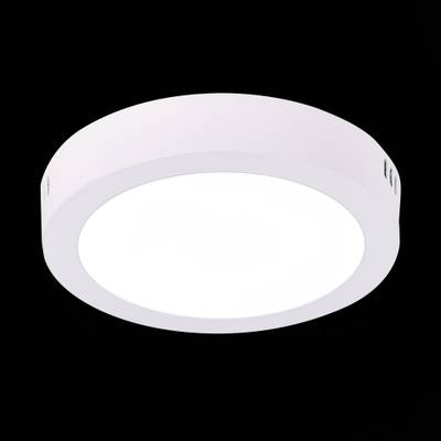 ST112.532.12 Светильник настенно-потолочный Белый LED 1*12W 3000K 715Lm Ra80 120° IP20 D160xH28 90-265V