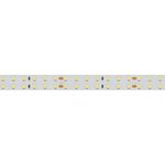 Лента RT 2-5000 24V Day4000 2x2 (2835, 980 LED, CRI98) (Arlight, 20 Вт/м, IP20)