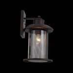 SL080.401.01 Светильник уличный настенный ST-Luce Темный кофе/Прозрачный, Темный кофе E27 1*60W