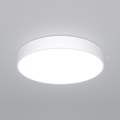 Потолочный светодиодный светильник 90320/1 белый, LED