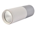 Потолочный светильник Deepak 3071-1C. ТМ Favourite