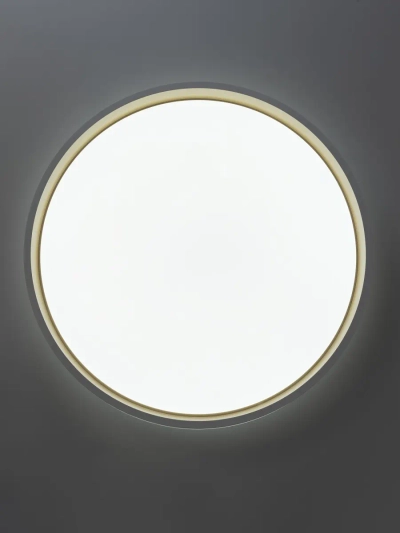 Citilux ENZO CL753450G LED RGB Светильник с пультом Белый + Золото