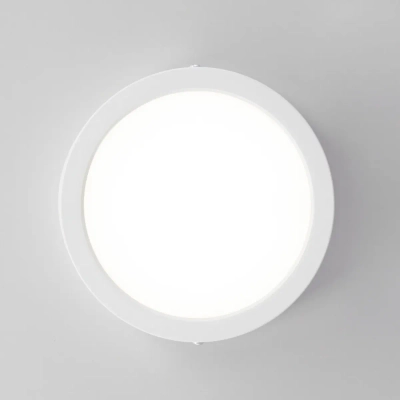 Citilux Галс CL5516N Светильник накладной светодиодный