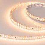 Светодиодная лента RT-A168-10mm 24V Warm3000 (17 W/m, IP20, 2835, 5m) (Arlight, Открытый)