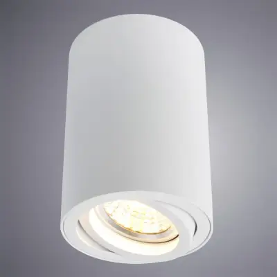 Точечный накладной светильник Arte Lamp SENTRY A1560PL-1WH, 1хGU10