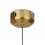 Подвесной светильник Frisky FR5385PL-L17YW, LED. TM Maytoni