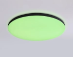 Потолочный светодиодный светильник с Wi-Fi Яндекс Алисой/Tuya/Smart Home/Alexa FZ2004 BK черный IP54 20W 3000K-6500K+RGB D300*55 (ПДУ ИК)