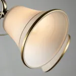 Потолочная люстра Arte Lamp BLOSSOM A2709PL-5AB, 5хE27