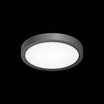 Citilux Бейсик CL738121N Светильник накладной Чёрный