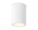 Светильник накладной TN22797 WH белый IP44 GU10 max 12W D65*90