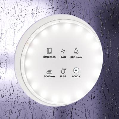 Светодиодная лента 24В 2835 4,8Вт/м 6000K 5м IP65, 10141. TM Maytoni