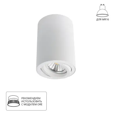 Точечный накладной светильник Arte Lamp SENTRY A1560PL-1WH, 1хGU10