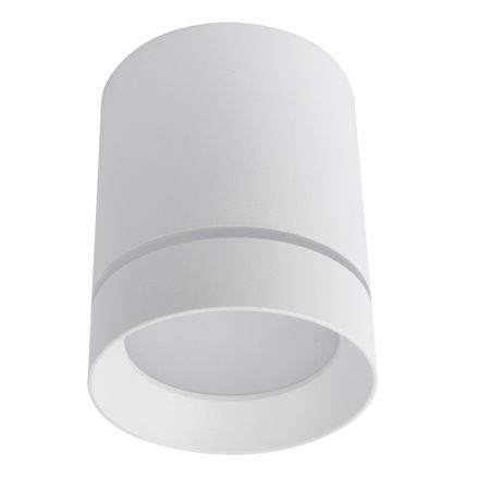 Точечный накладной светильник Arte Lamp ELLE A1949PL-1WH, 1хLED