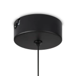 Подвесной светильник Ida FR6133PL-L4C, LED. TM Maytoni
