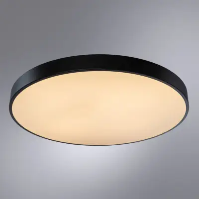 Потолочный светильник Arte Lamp ARENA A2673PL-1BK, 1хLED