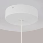 Подвесной светильник Ray P021PL-L10W. ТМ Maytoni