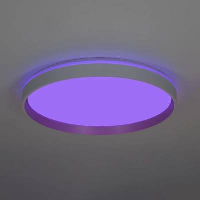 Citilux ENZO CL753510G LED RGB Светильник с пультом Белый + Золото