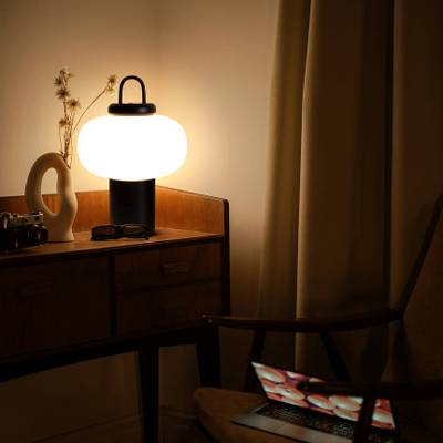 Настольный светильник Take FR6175TL-L10B, LED. TM Maytoni