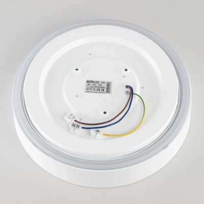 Citilux BOSS CL751250G LED RGB Светильник с пультом Белый
