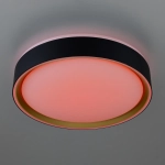Citilux BOSS CL751251G LED RGB Светильник с пультом Чёрный с Золотом