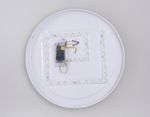 Потолочный светодиодный светильник с пультом FZ1324 BK/LWD черный/светлое дерево IP20 41W 3000-6400K D390*70 (ПДУ ИК)