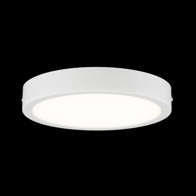 Citilux Галс CL5522N Светильник накладной светодиодный
