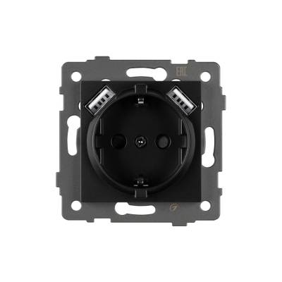 Механизм розетки с USB зарядкой SCT-MUAA-PL-BK-V (250V, 16A) (Arlight, -)