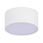 ST606.532.12 Светильник потолочный Белый LED 1*12W 3000K 1 080Lm Ra&gt;85 120° IP20 D120xH55 185-265V