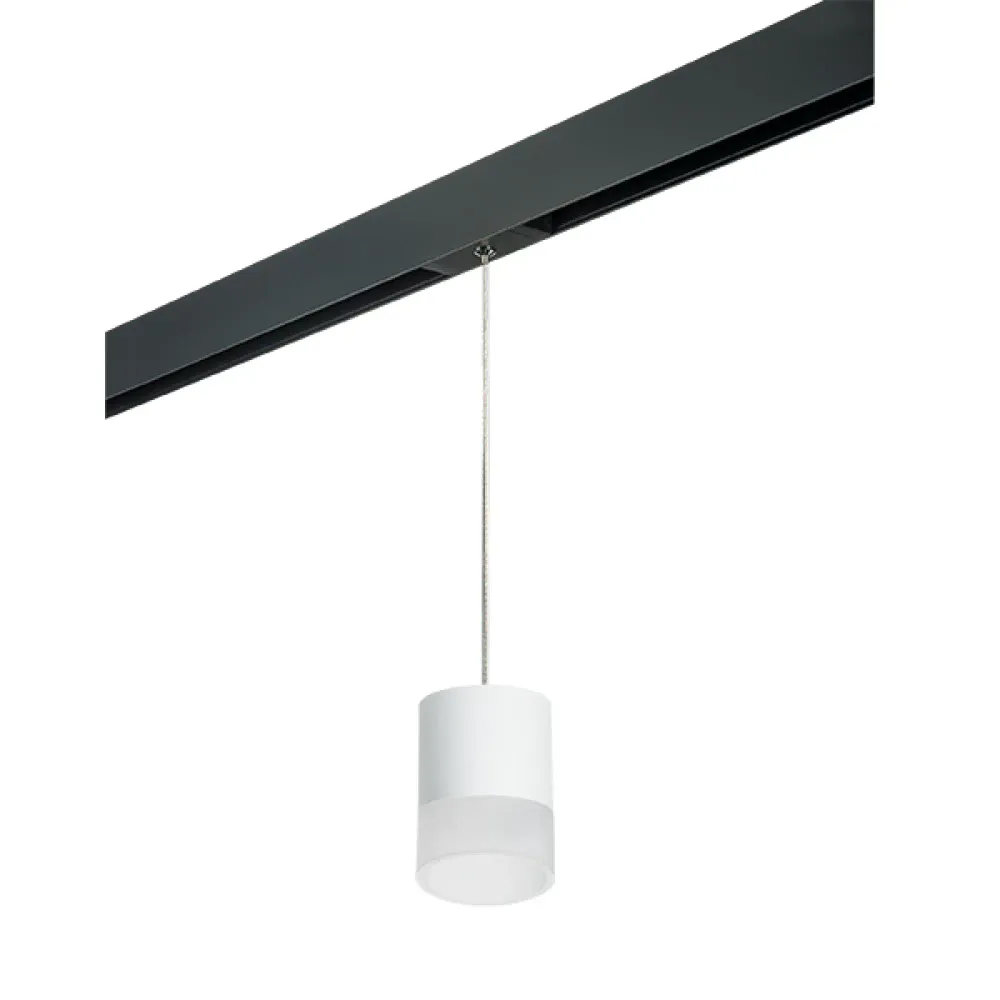 PRORP348681 Светильник д/1-фазн трека RULLO GX53 (213486+595887+202481) Lightstar