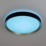 Citilux BOSS CL751351G LED RGB Светильник с пультом Чёрный с Золотом