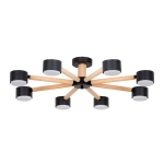 Потолочная люстра Arte Lamp TENDA A1624PL-8BK, 8хGX53