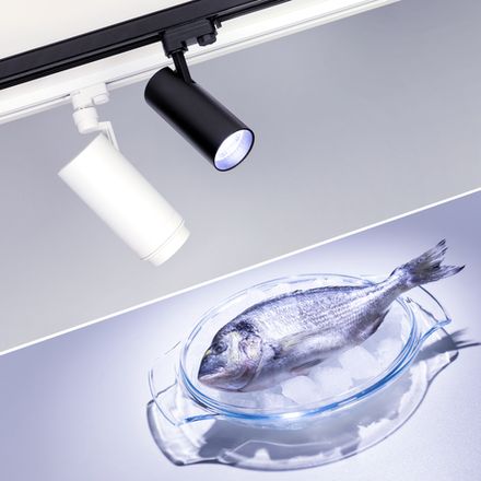 Светильник LGD-GERA-4TR-R74-20W Cool SP7500-Fish (WH, 24 deg, 230V) (Arlight, IP20 Металл, 3 года)
