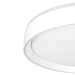 Citilux BOSS CL751350G LED RGB Светильник с пультом Белый