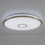 Citilux Старлайт Смарт CL703A103G RGB Умная люстра Бронза