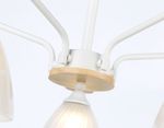 Светильник подвесной TR9567/5 WH/FR белый/белый матовый E27/5 max 40W D620*250