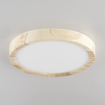 Citilux Бейсик CL738122N LED Светильник накладной Клён
