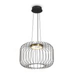 Подвесной светильник Citrus FR5398PL-L8B, LED. TM Maytoni