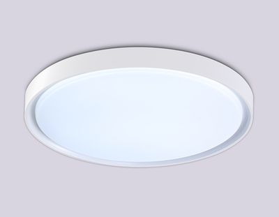 Потолочный светодиодный светильник FZ1246 WH белый IP54 12W 5000K D240*60 (Без ПДУ)