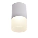 Потолочный светильник Naram 3069-1C. ТМ Favourite