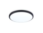 Потолочный светодиодный светильник FZ1233 BK черный IP44 22W 6400К D260*55 (Без ПДУ)