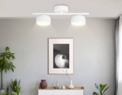 Светильник накладной TN71022/2 WH белый GX53/2 max 12W 320*80*140