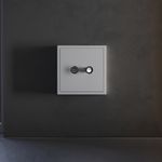 VLS001616 Накладка для розетки телевизионной оконечной TV+SAT, S70 (серый). (ТМ Maytoni)