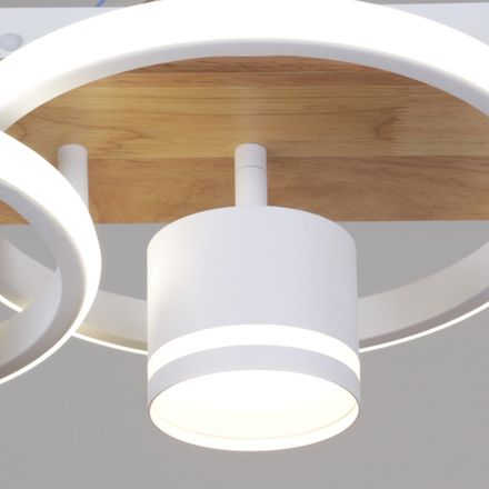 29560-0.3-2+2 WH+WOOD светильник потолочный