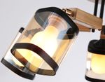 Подвесная люстра TR9529/5 BK/GD/TI черный/золото/янтарь E27*5 max 40W D670*260