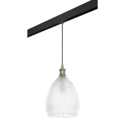 PRO798021 Светильник д/1-фазн трека GENNI 1х40W E27 ЛАТУНЬ/ПРОЗРАЧНЫЙ/ЧЕРНЫЙ (798021+595007) Lightstar