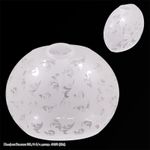 Плафон "Эллипс 381/6" б/с декор. Ф150 (E14) (Минимальная отгрузка 6 шт)