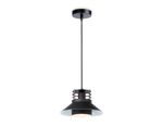 Подвесной светильник в стиле лофт TR8172 BK черный E27 max 40W D203*940