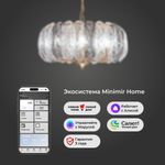 Умная подвесная люстра 365/6