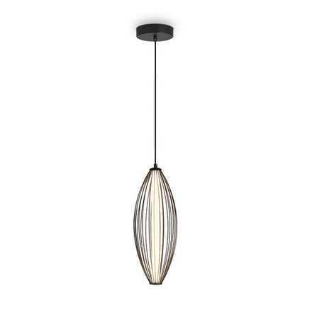 Подвесной светильник Sabi FR6131PL-L24B, LED. TM Maytoni